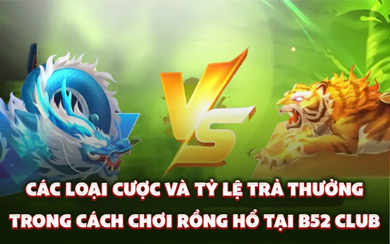 Các loại cược và tỷ lệ trả thưởng trong cách chơi Rồng Hổ tại B52 Club
