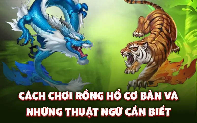 Cách chơi Rồng Hổ cơ bản và những thuật ngữ cần biết