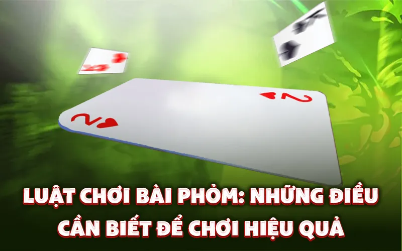 Luật chơi bài phỏm: Những điều cần biết để chơi hiệu quả